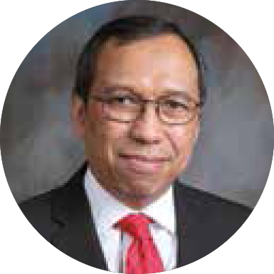 Firdaus Alamsjah, Ph.D.