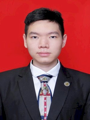 VINCENT MEIDIANTO