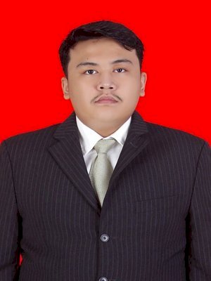 DAVIEN SULTHAN RAFI