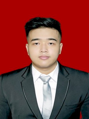 THEODORUS TANUSAPUTRA