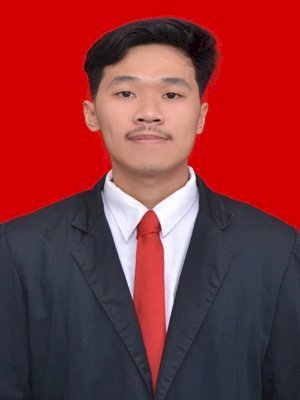 JUAN ALMER DYLAN