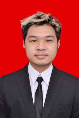 VINSENCIUS ARNOLD ALVARO