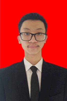 WILLY AGUNG PUTRA