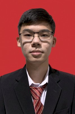 YUDHIS LEOMITRO