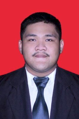 MEILVIN AGISTYRA