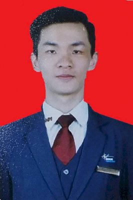 IGNATIUS DAVIN WIJAYA