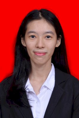 DINI AGNES WIJAYA