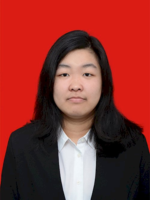 MEGA NOVIANTI