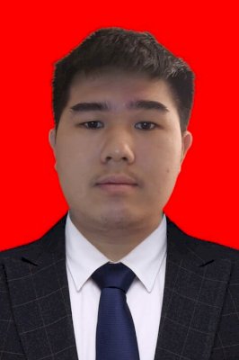 VINCENTIUS ELBERT LAMBERTUS