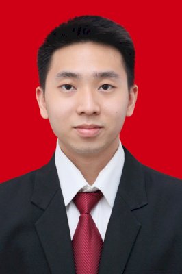 VINCENT ALDI