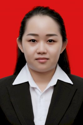 FEBDA WILIS