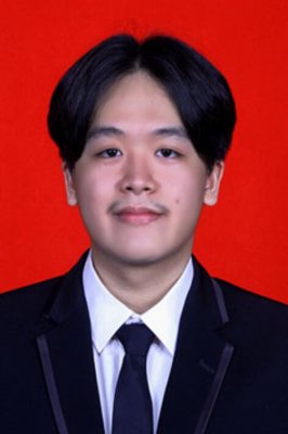 JEFFRY VINCENT LOUIS