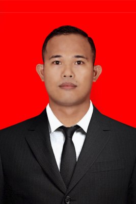 JOESWA PARTOGI DEE RIAU NAPITUPULU