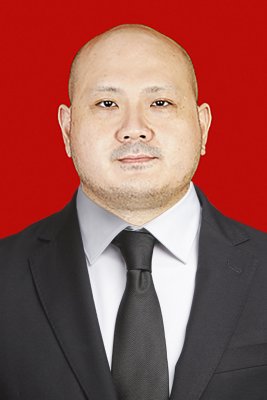 HANSEL TJHIN