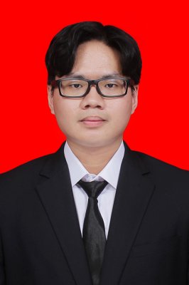 STEVEN WILBERT JAMIN