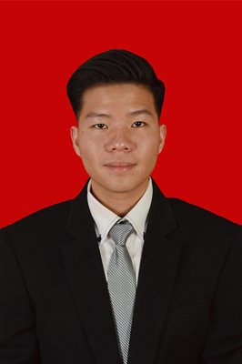 VINCENT ALVARALDO
