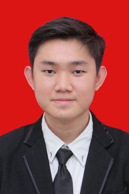 VINCENT