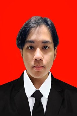 ANATHA PINDHIKA HERMAWAN