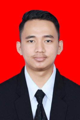 DEA NUR FAUZI