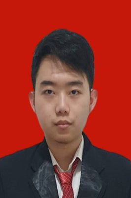 ALBERT AKIRA