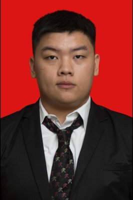 DAVID MARIO PRAJITNA