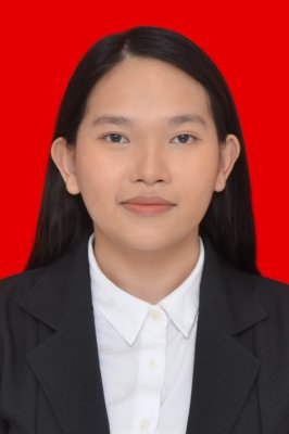 VINNISIA. S. SETIAWAN