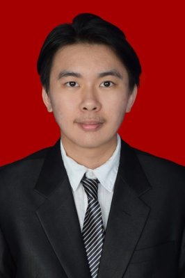 VINCENT COLLIN