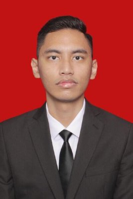 RAJA ALY RAIHAN PAHLEVI