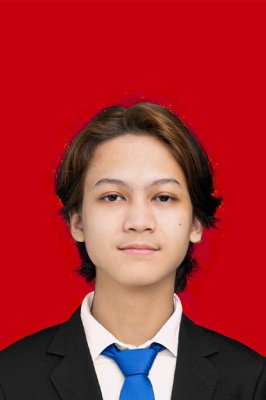 MUHAMMAD ARIQ MAJID