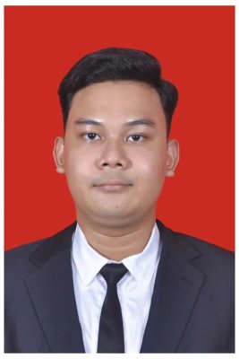 THEODORE ALMEYDA NOREEN