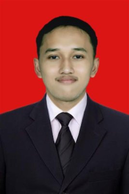 ALDIN AHMAD WIDYANTO