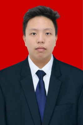 DION PADMAPUTRA HARTANUJAYA