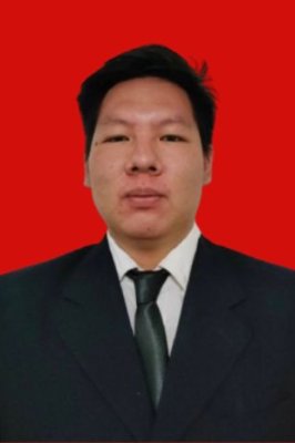VINSENSIUS DELBERT LAKSANA