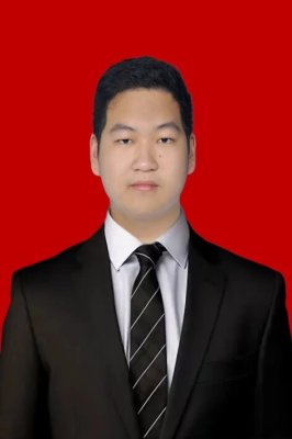 STEFANO VINCENT HARDJAMULIONO