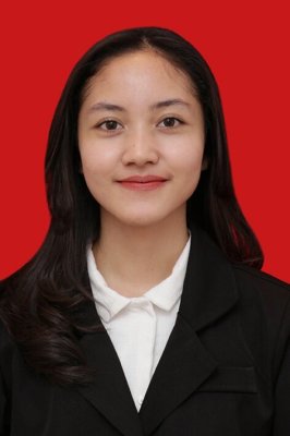 VIRLY ANANDA NOVYANDITYA