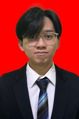 VINCENT SALIM