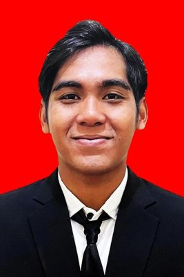 DEDY SAMHAZ ROMULUS PARDEDE