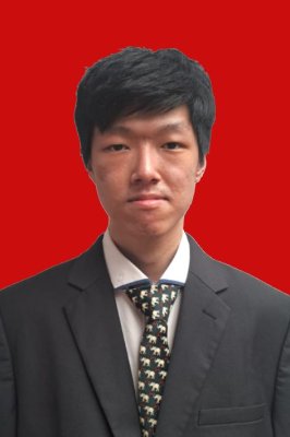 VINCENT NOVIAN SOEBROTO