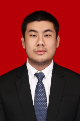 DOMINIKUS SEBASTIAN ARAYA