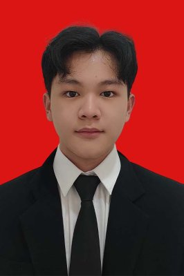 MICHAEL VINCENTIUS