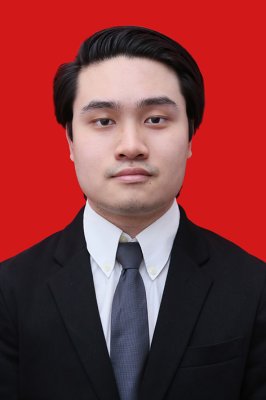 THEODORUS DAVIN PANATASETYA