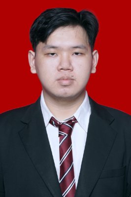 STEPHEN NOVIANTO WIJAYA