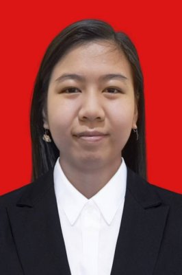 SHILVIA MEIDHI HONOVA