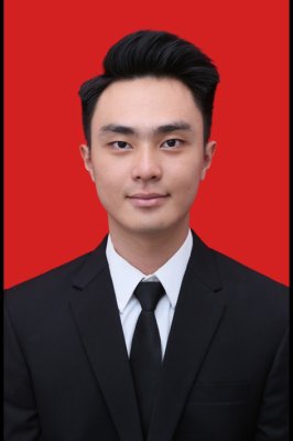 DAVID WIJAYA WILLIAM