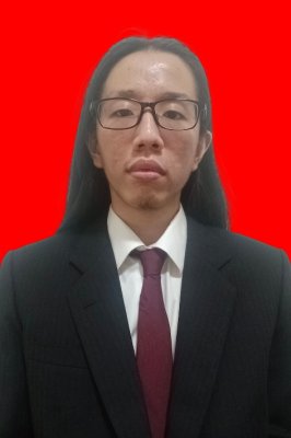 LUCAS STEFAN