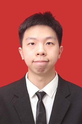 VINCENT NATHANAEL ALBERTUS