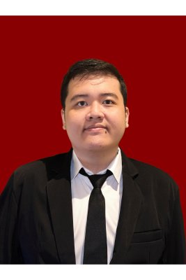 FERDINAND JASON GONDOWIJOYO