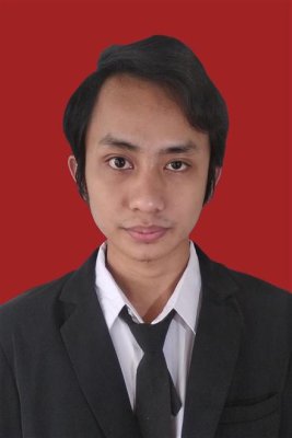 ALWAN HAFIDZIN FIRDAUS