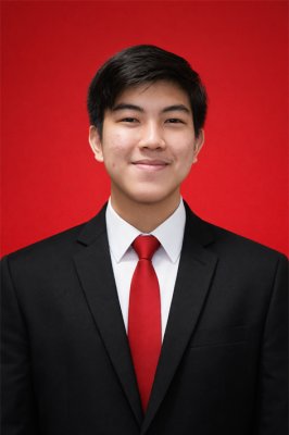 MARIO ISKANDAR