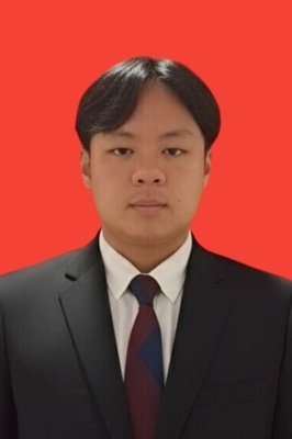 VINCENT NICHOLAS HIE